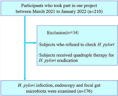 The mutual interactions among Helicobacter pylori, chronic gastritis, and the gut microbiota: a population-based study in Jinjiang, Fujian